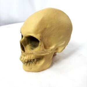 * Hollow Soft  Skull w/ spine Latex Glow in Dark  New Old Stock